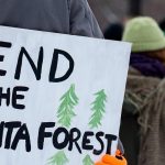 Someone holding a sign that reads "Defend the Atlanta Forest." The sign has drawings of trees. The person is surrounded by other protestors.